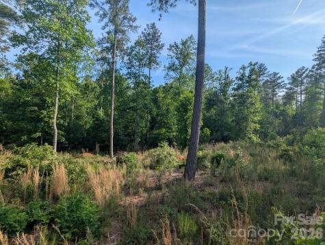 2162 Columbia Ridge Connelly Springs NC 28612