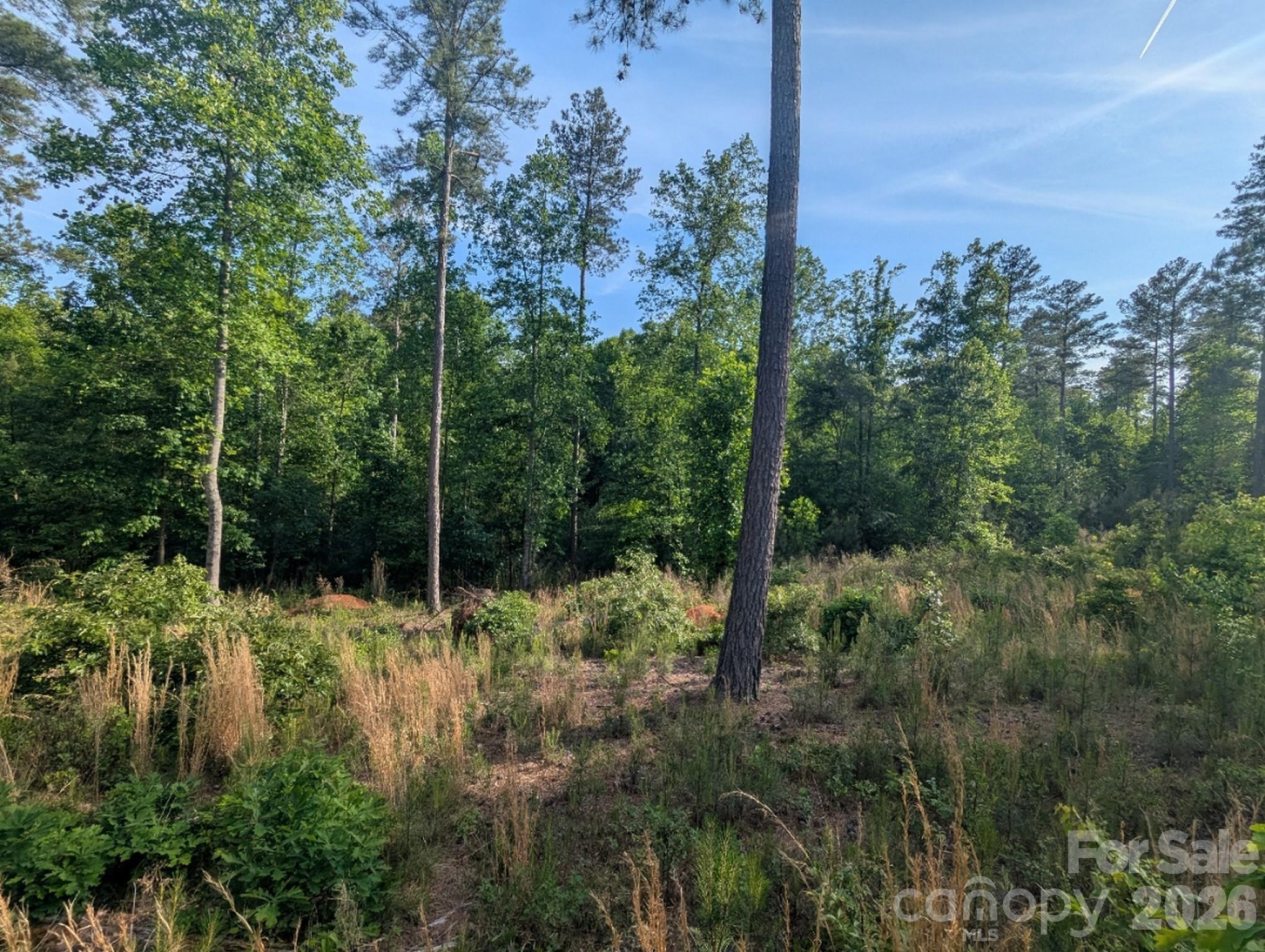 2162 Columbia Ridge Connelly Springs NC 28612