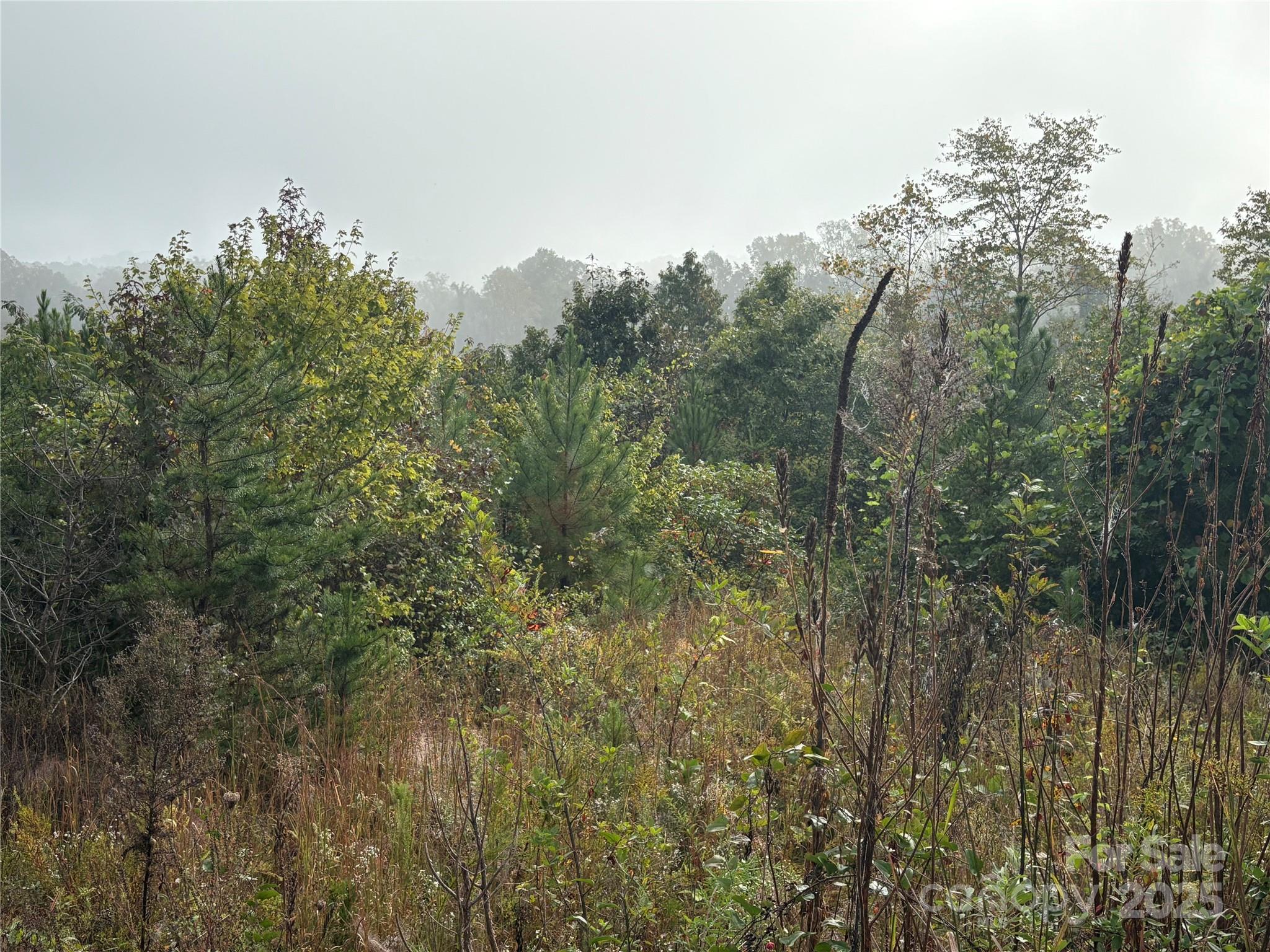 0 Hopewell Road Morganton NC 28655