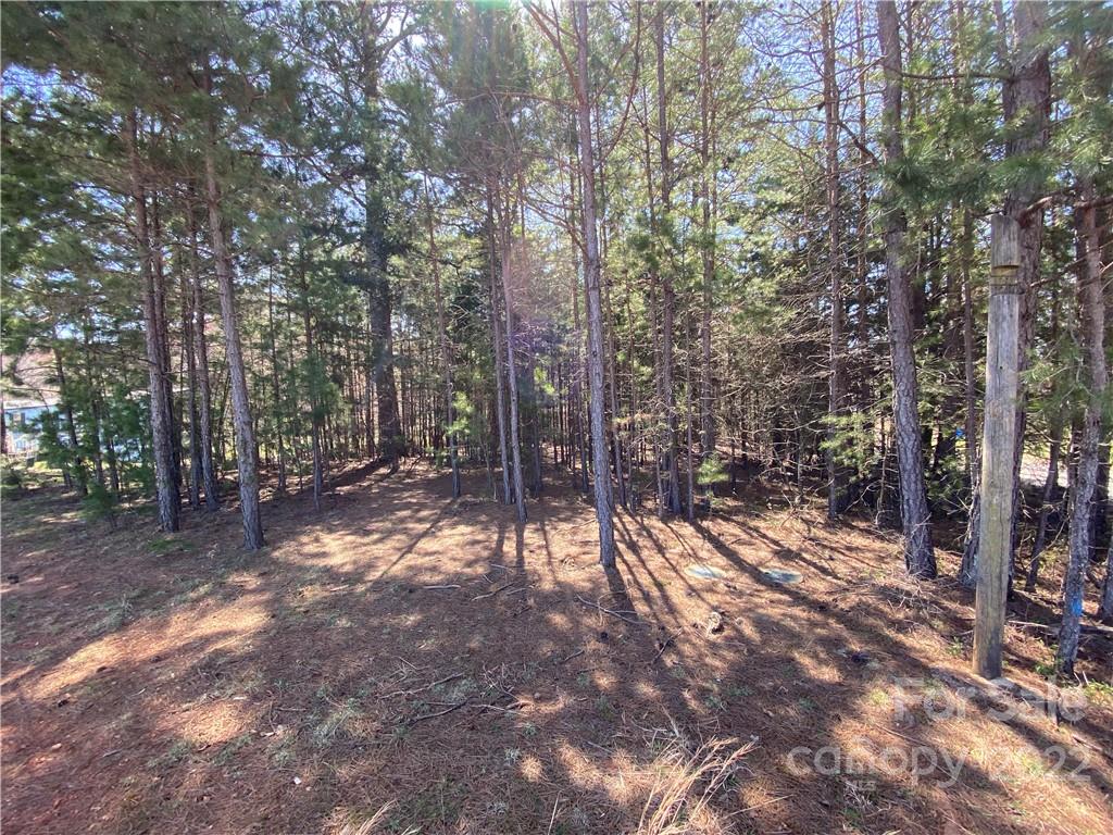 Next To 1670 Buck Oak Road Lincolnton NC 28092