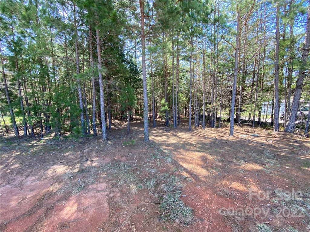 Next To 1670 Buck Oak Road Lincolnton NC 28092