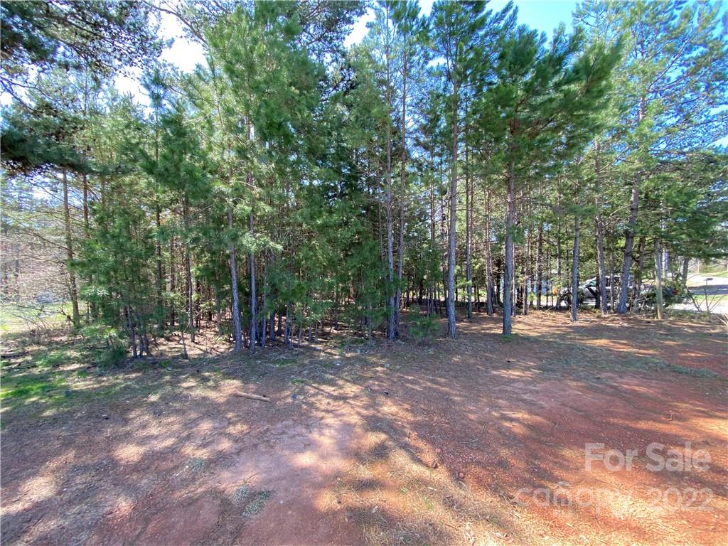 Next To 1670 Buck Oak Road Lincolnton NC 28092
