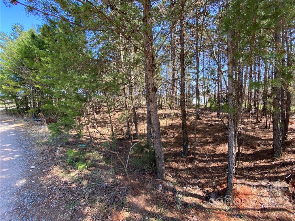 Next To 1670 Buck Oak Road Lincolnton NC 28092