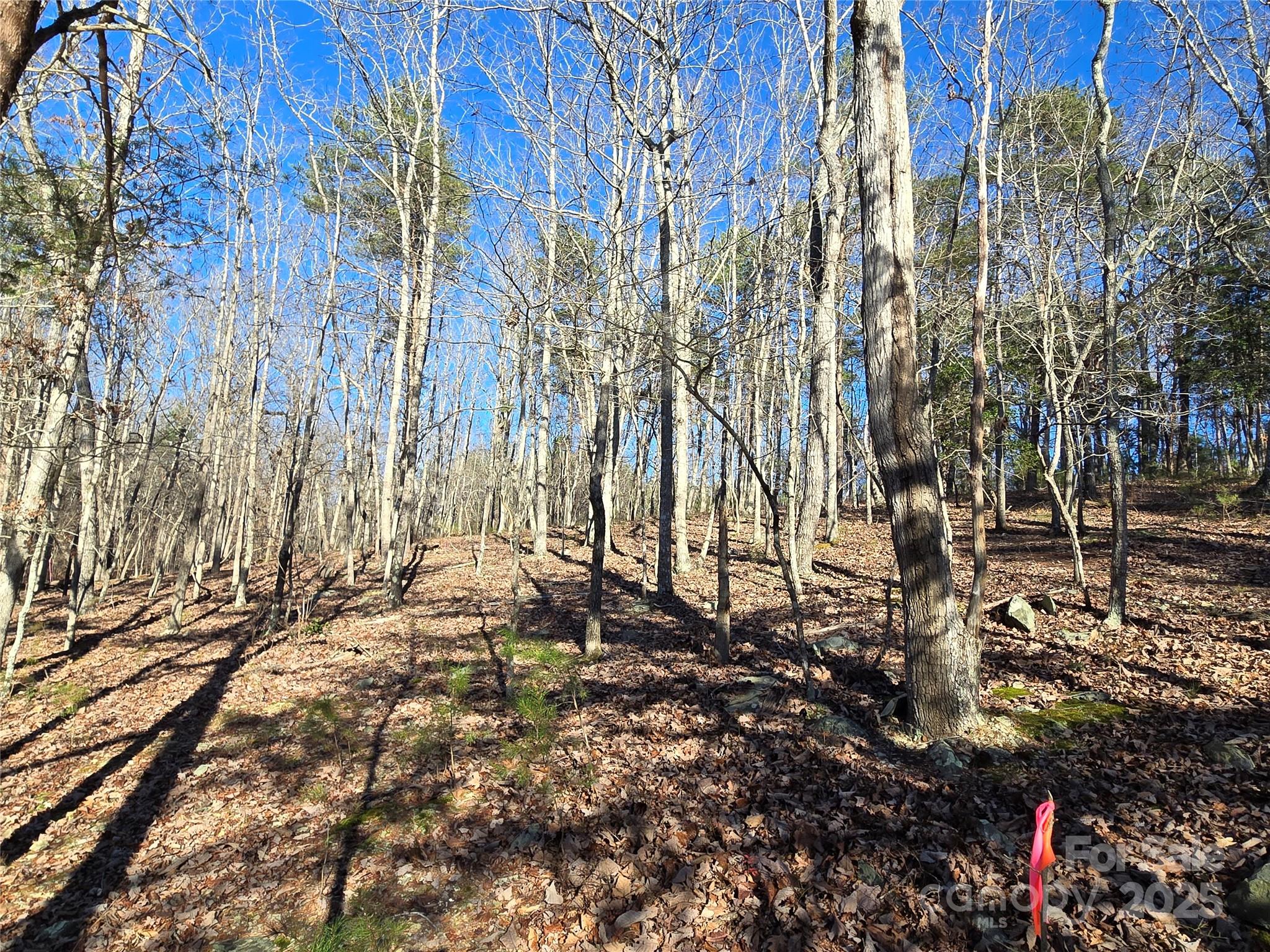 0 Whisper Lake Drive Badin Lake NC 28127