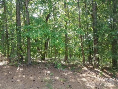 0 Whisper Lake Drive Badin Lake NC 28127