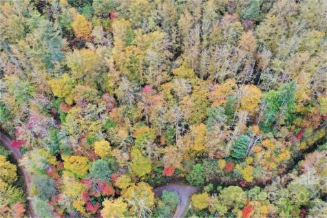 Vl302 Mountain Forest Estates Sylva NC 28779