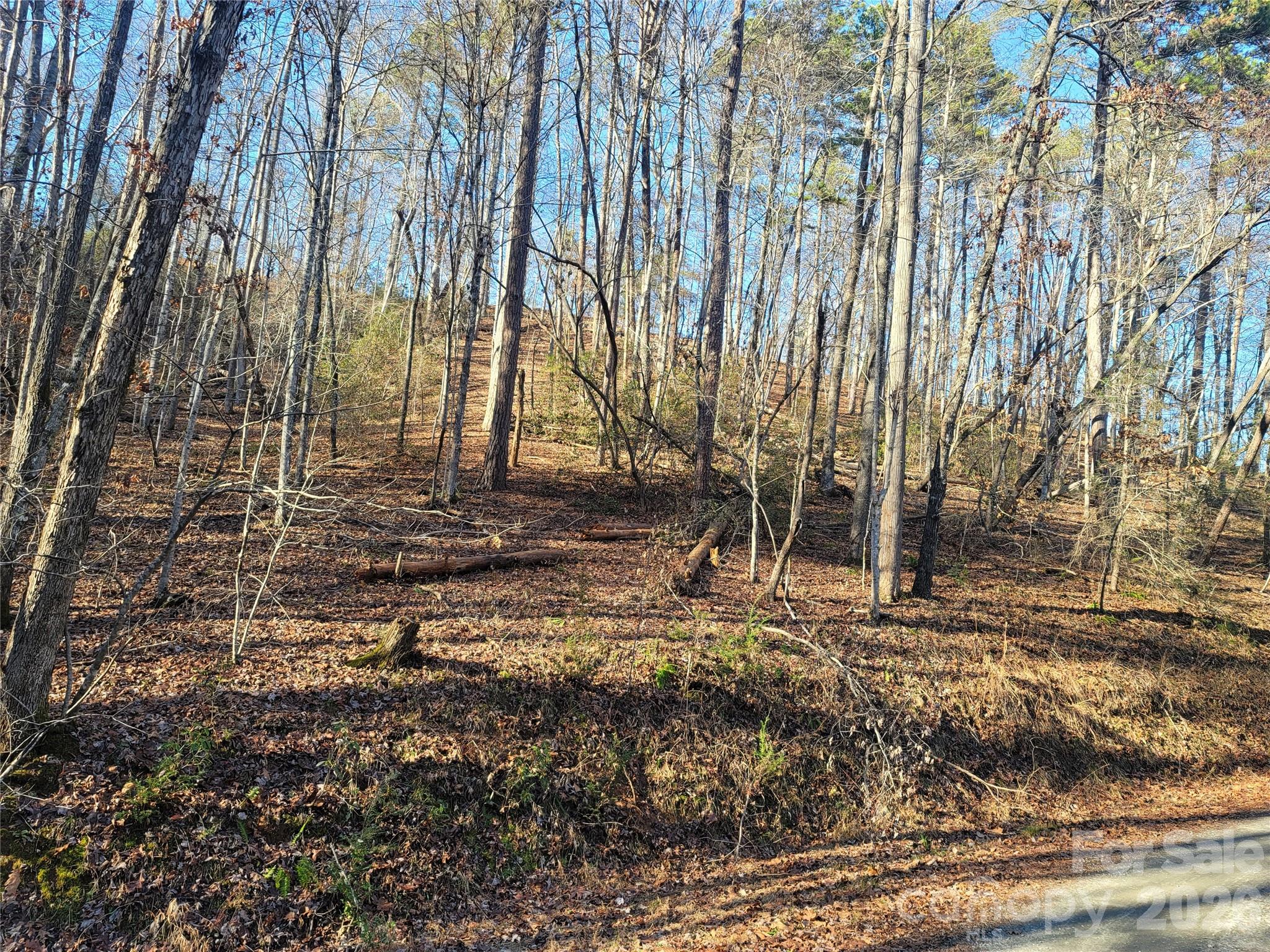 Lot 140 Rainbow Circle Lake Lure NC 28746