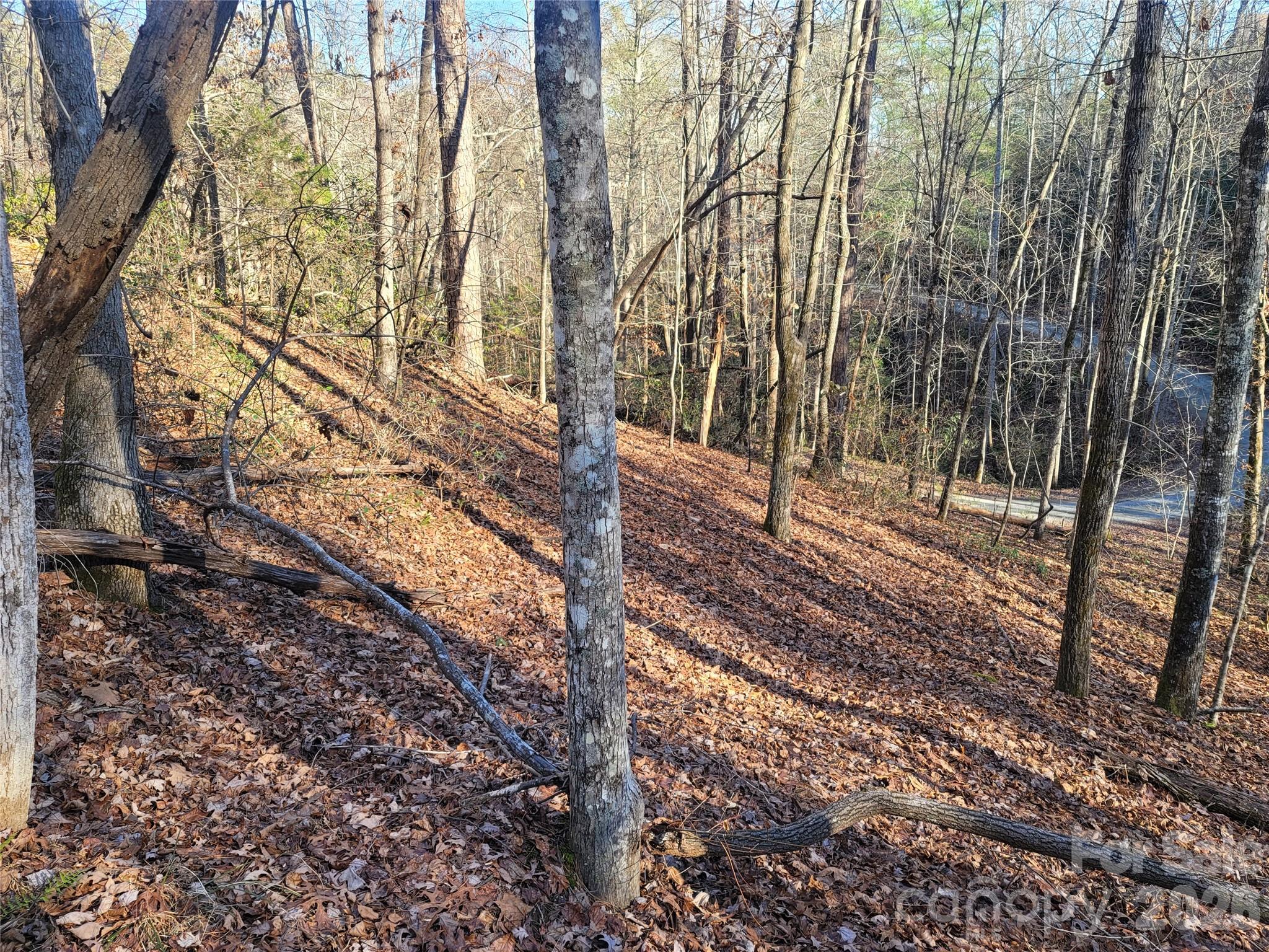 Lot 140 Rainbow Circle Lake Lure NC 28746