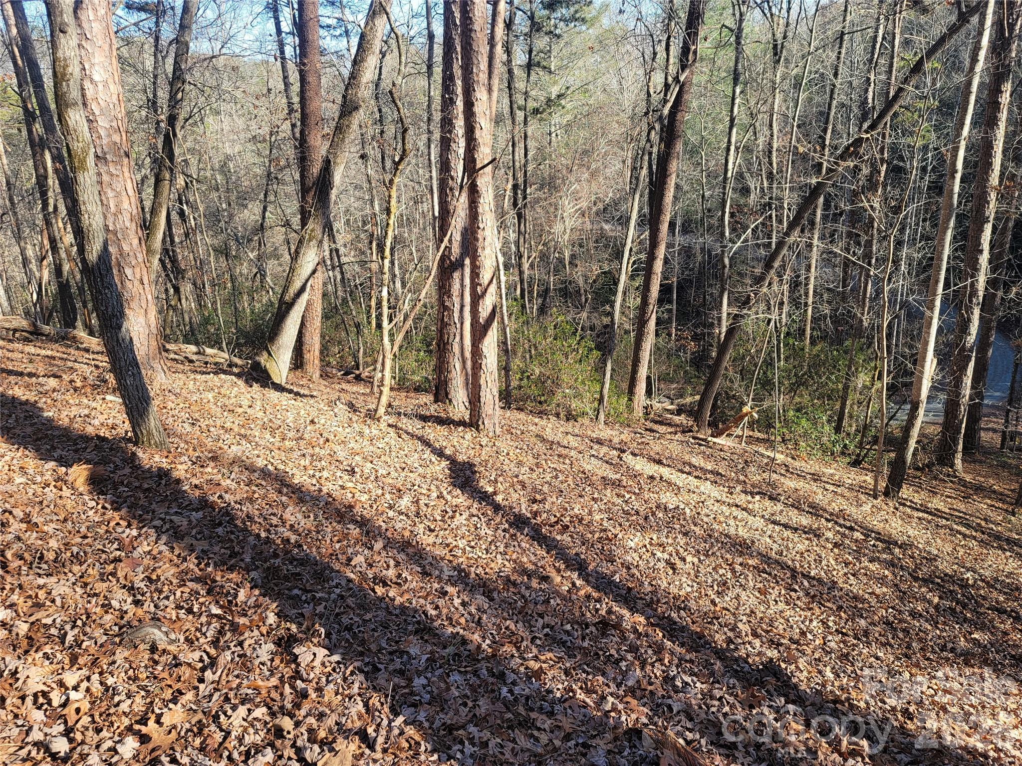 Lot 140 Rainbow Circle Lake Lure NC 28746