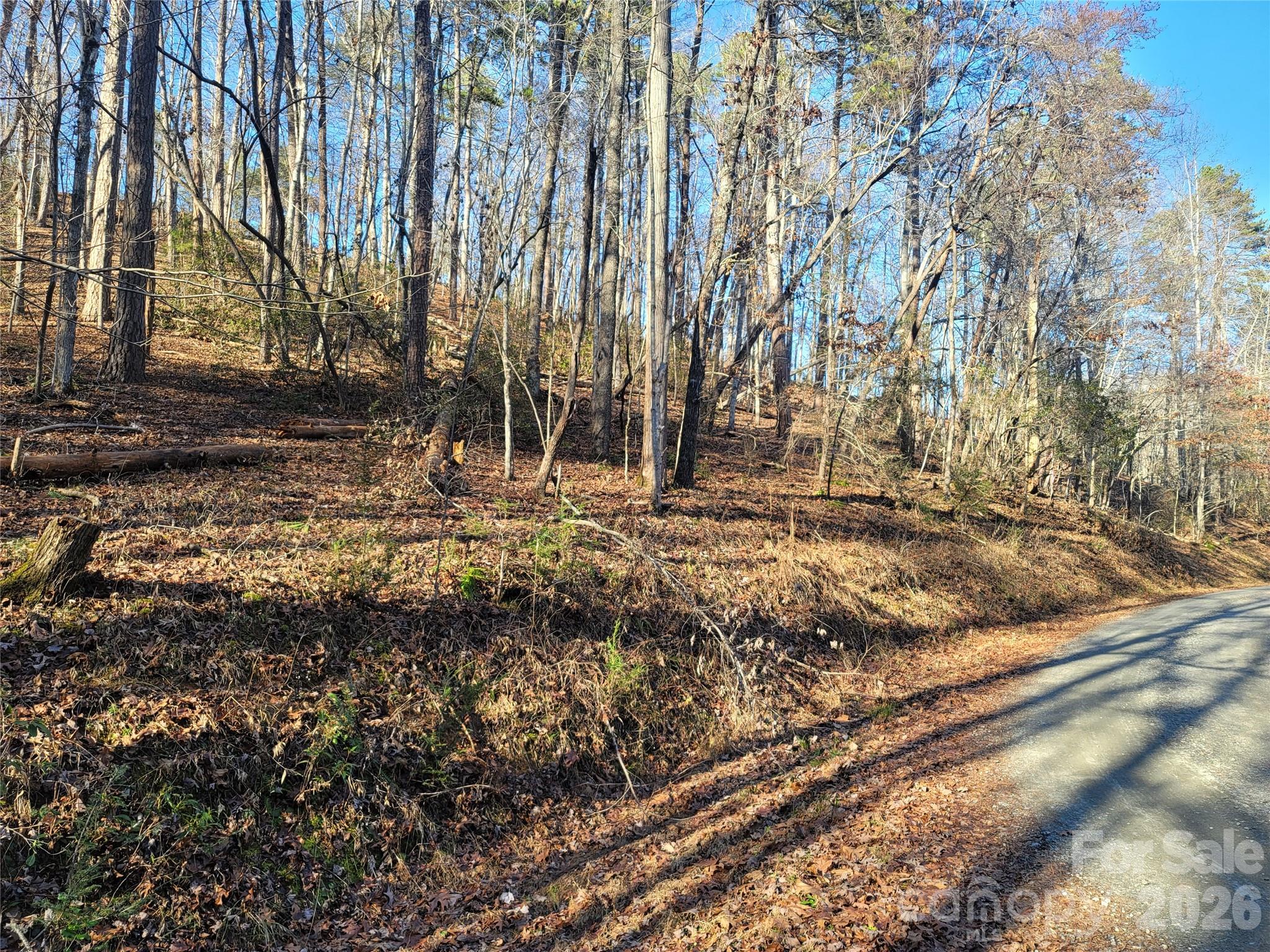 Lot 140 Rainbow Circle Lake Lure NC 28746
