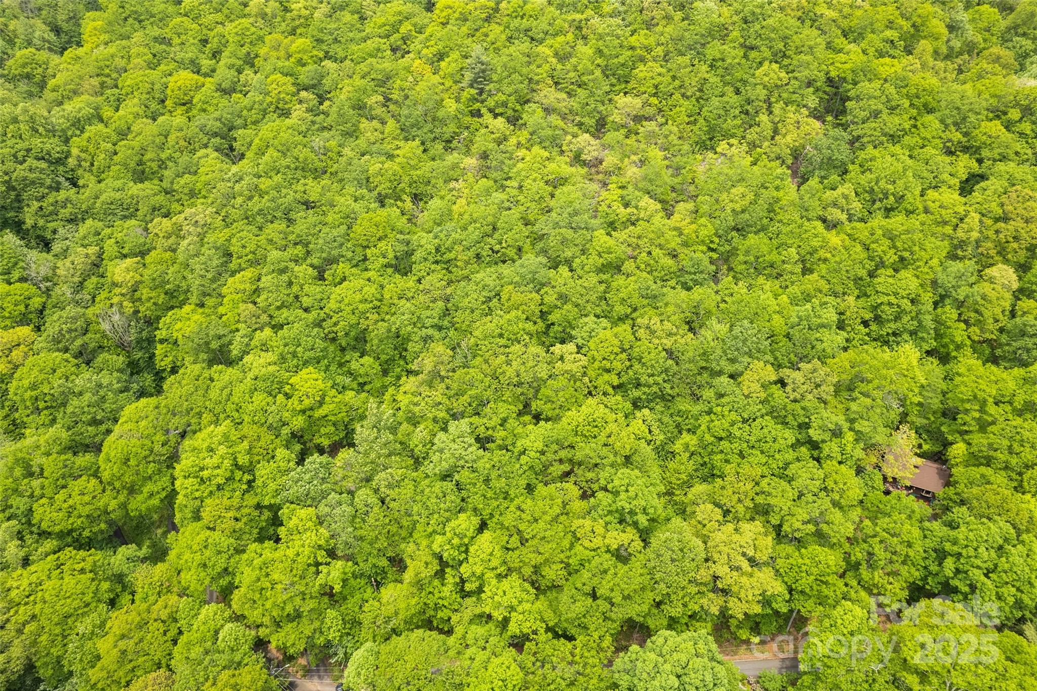 Lot 4 & 5 Blk 3 Skyline Drive Waynesville NC 28786