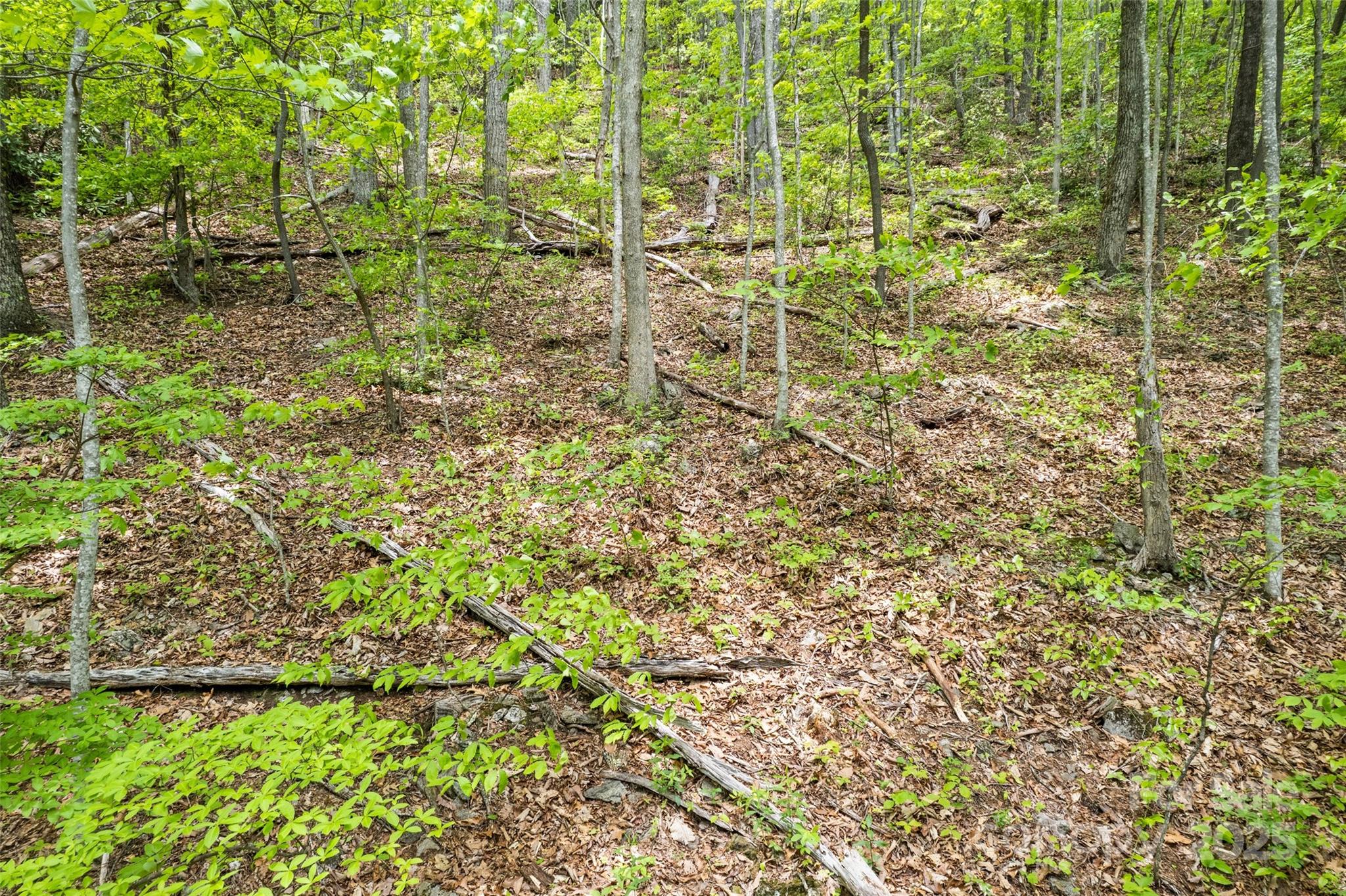 Lot 4 & 5 Blk 3 Skyline Drive Waynesville NC 28786