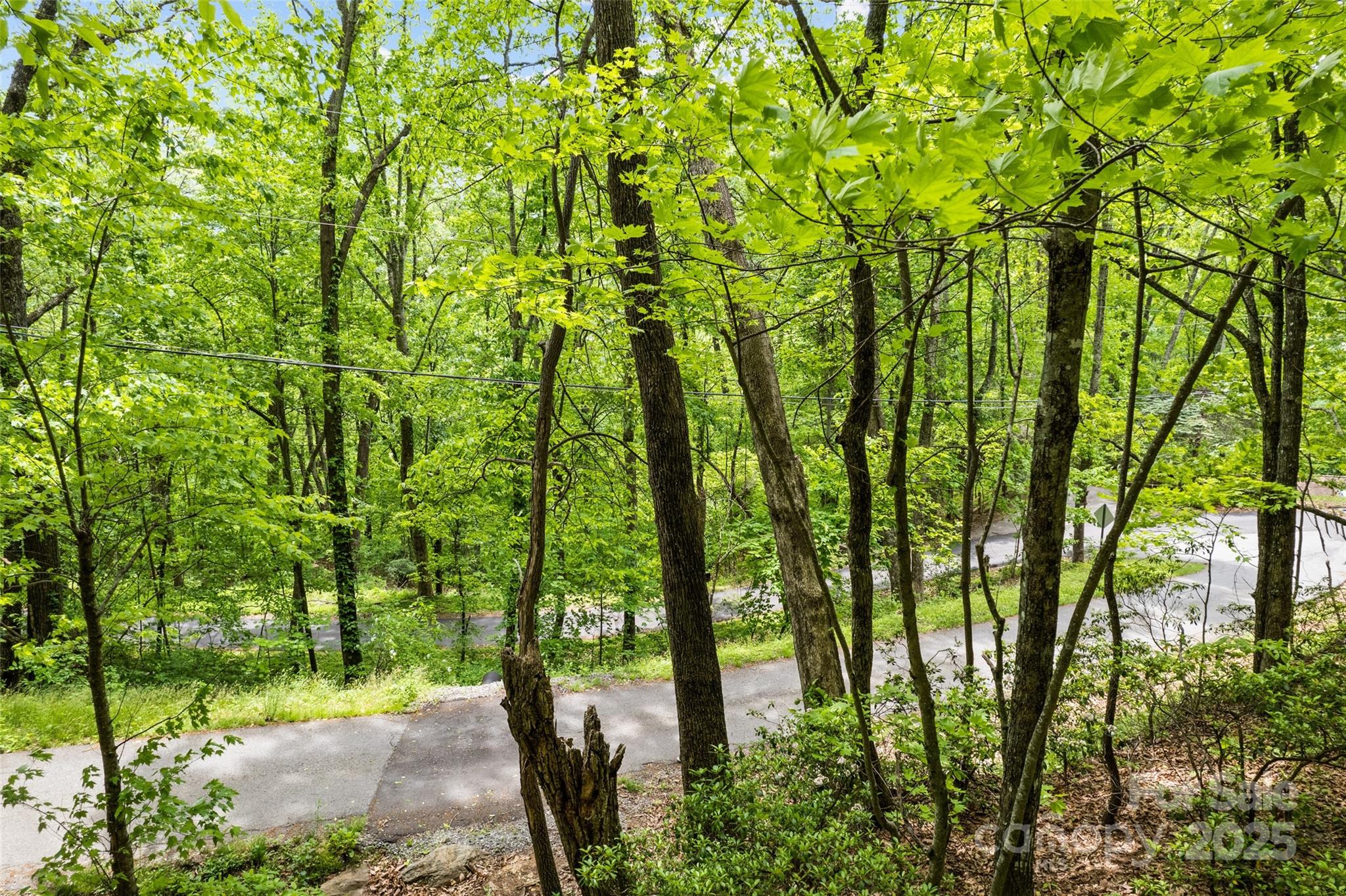 Lot 4 & 5 Blk 3 Skyline Drive Waynesville NC 28786
