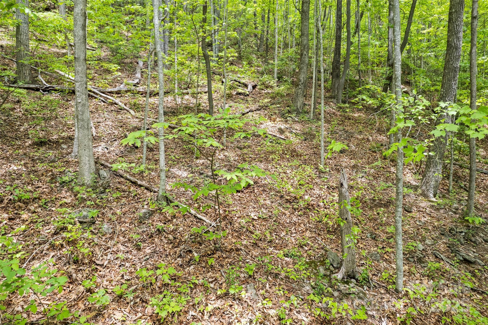 Lot 4 & 5 Blk 3 Skyline Drive Waynesville NC 28786