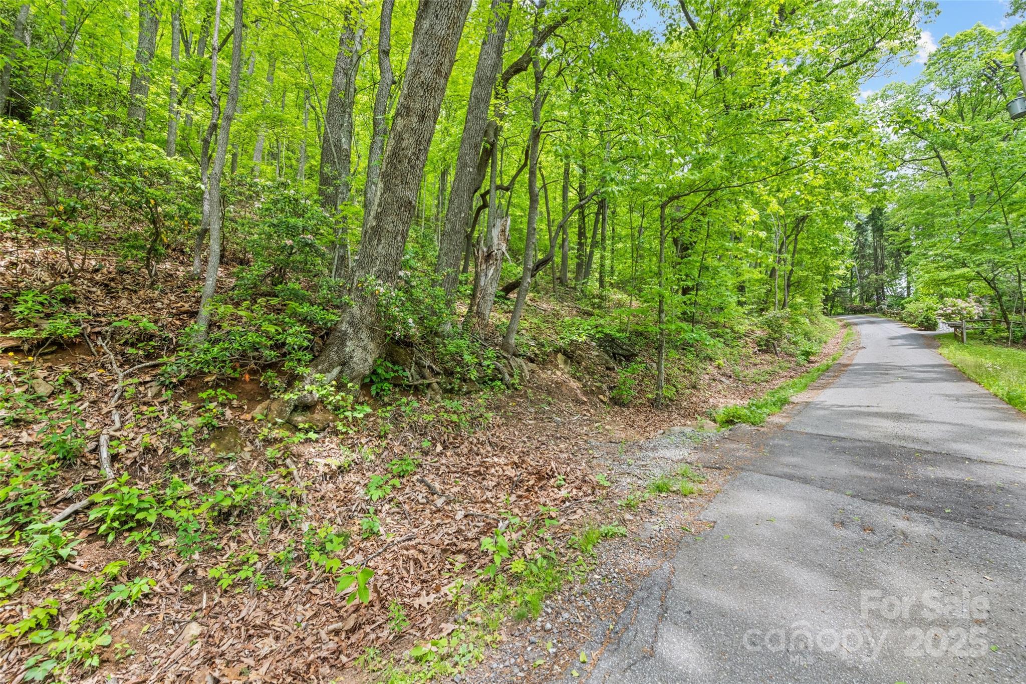 Lot 4 & 5 Blk 3 Skyline Drive Waynesville NC 28786