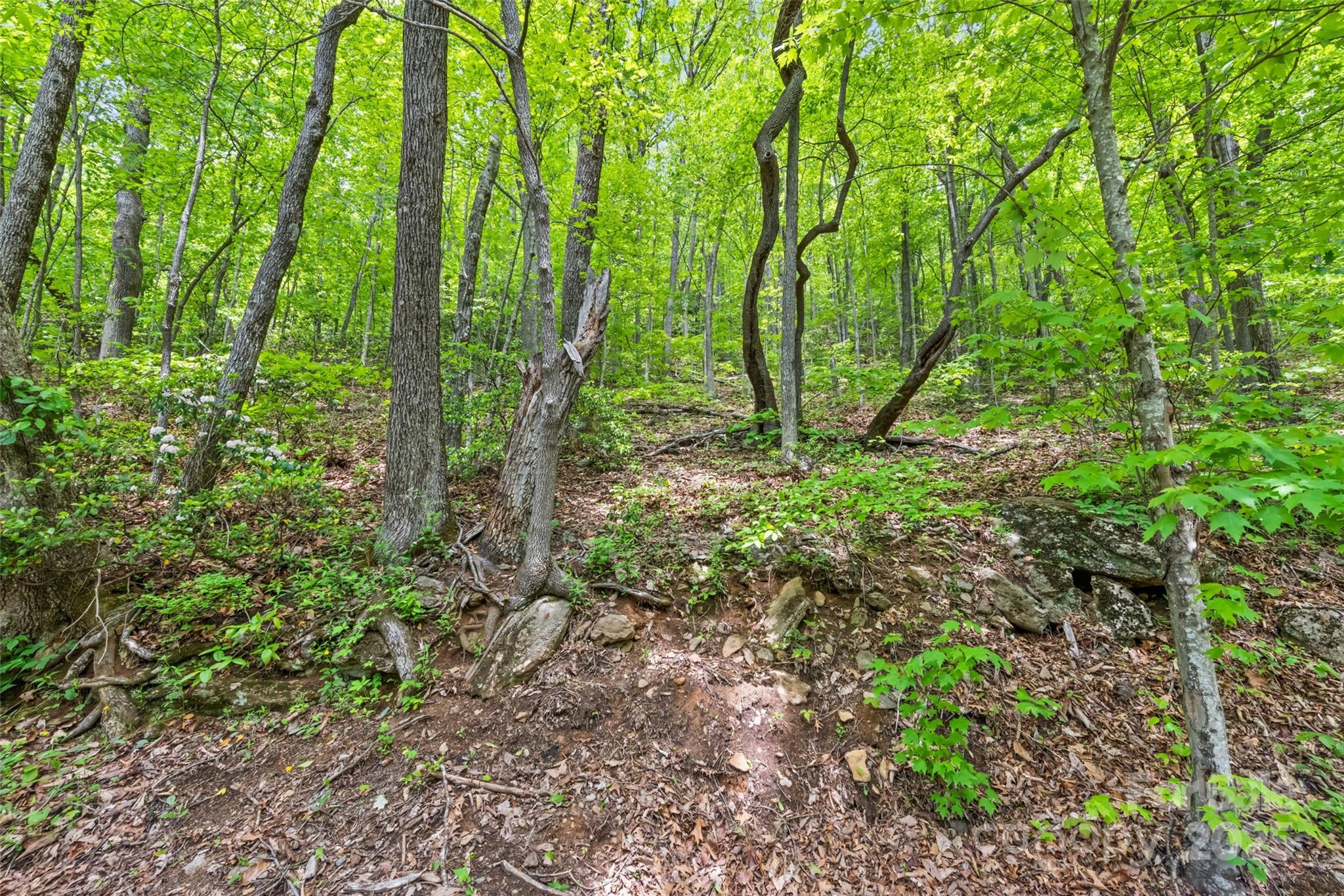 Lot 4 & 5 Blk 3 Skyline Drive Waynesville NC 28786