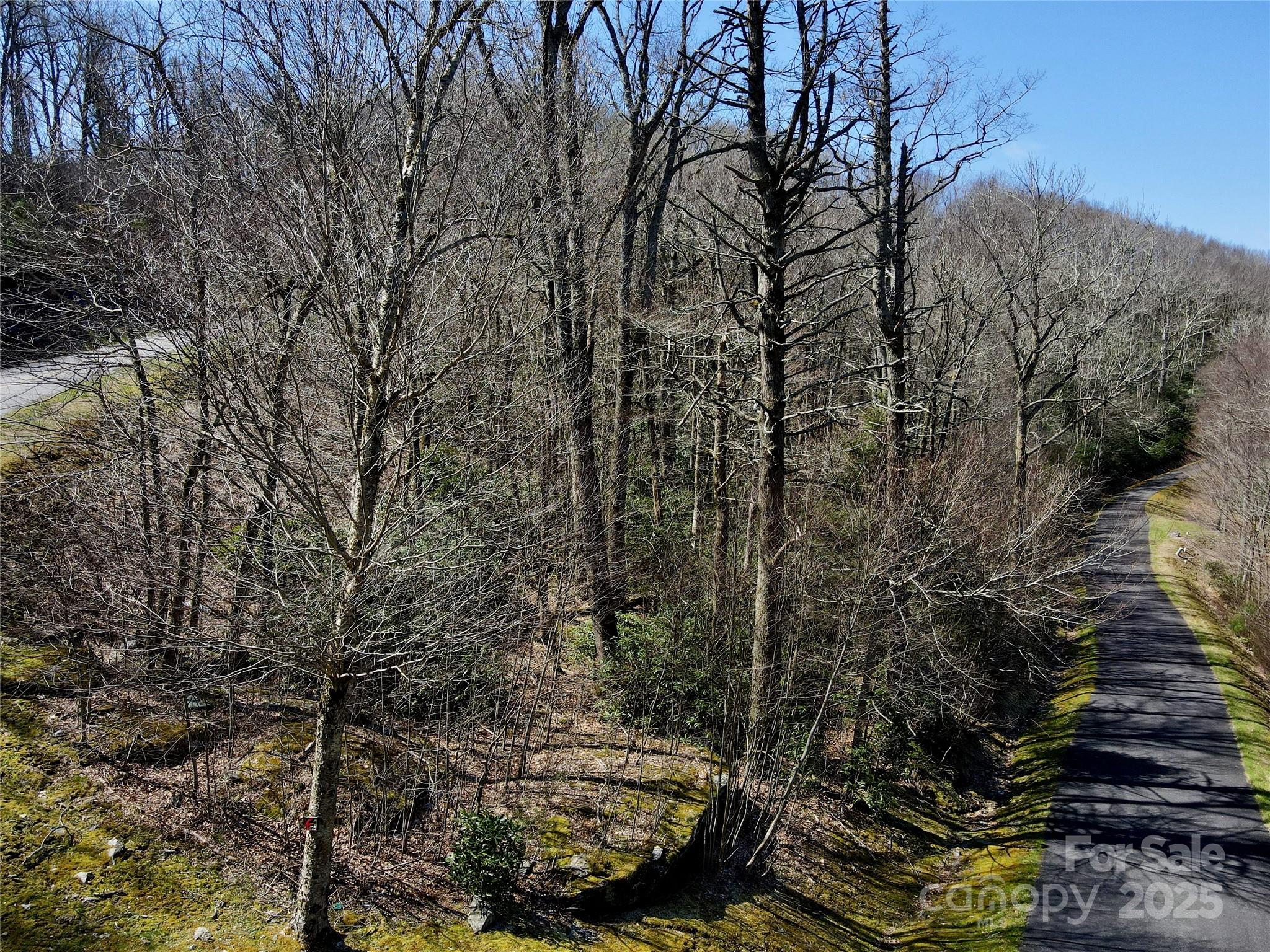 125 Stoneledge Lane Blowing Rock NC 28605