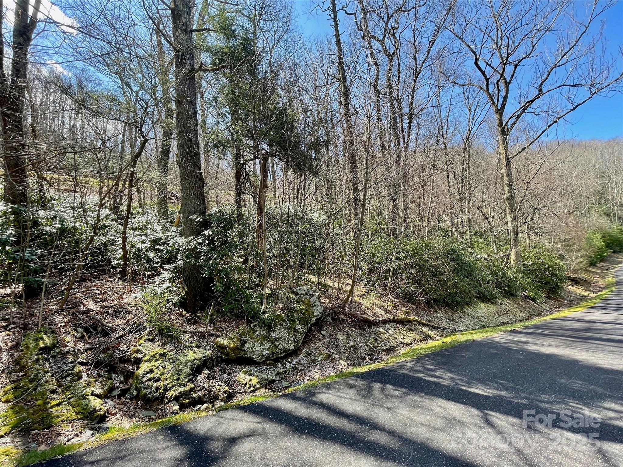 125 Stoneledge Lane Blowing Rock NC 28605