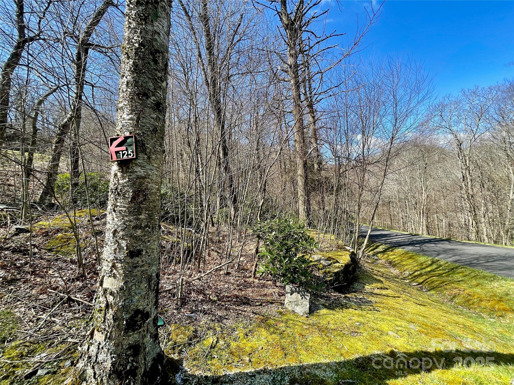 125 Stoneledge Lane Blowing Rock NC 28605