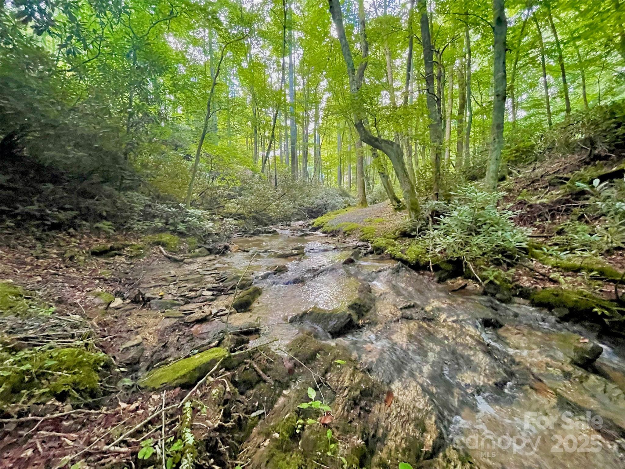125 Stoneledge Lane Blowing Rock NC 28605