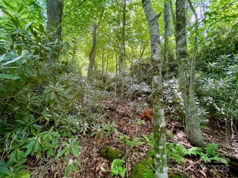 125 Stoneledge Lane Blowing Rock NC 28605