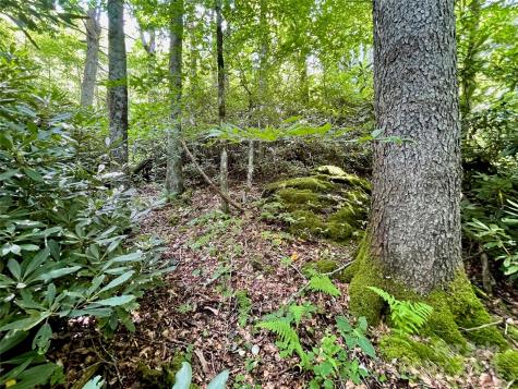 125 Stoneledge Lane Blowing Rock NC 28605