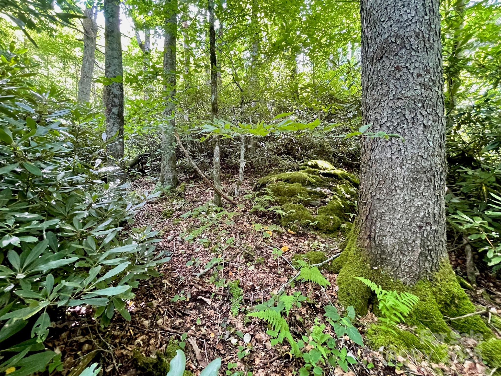 125 Stoneledge Lane Blowing Rock NC 28605