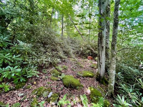 125 Stoneledge Lane Blowing Rock NC 28605