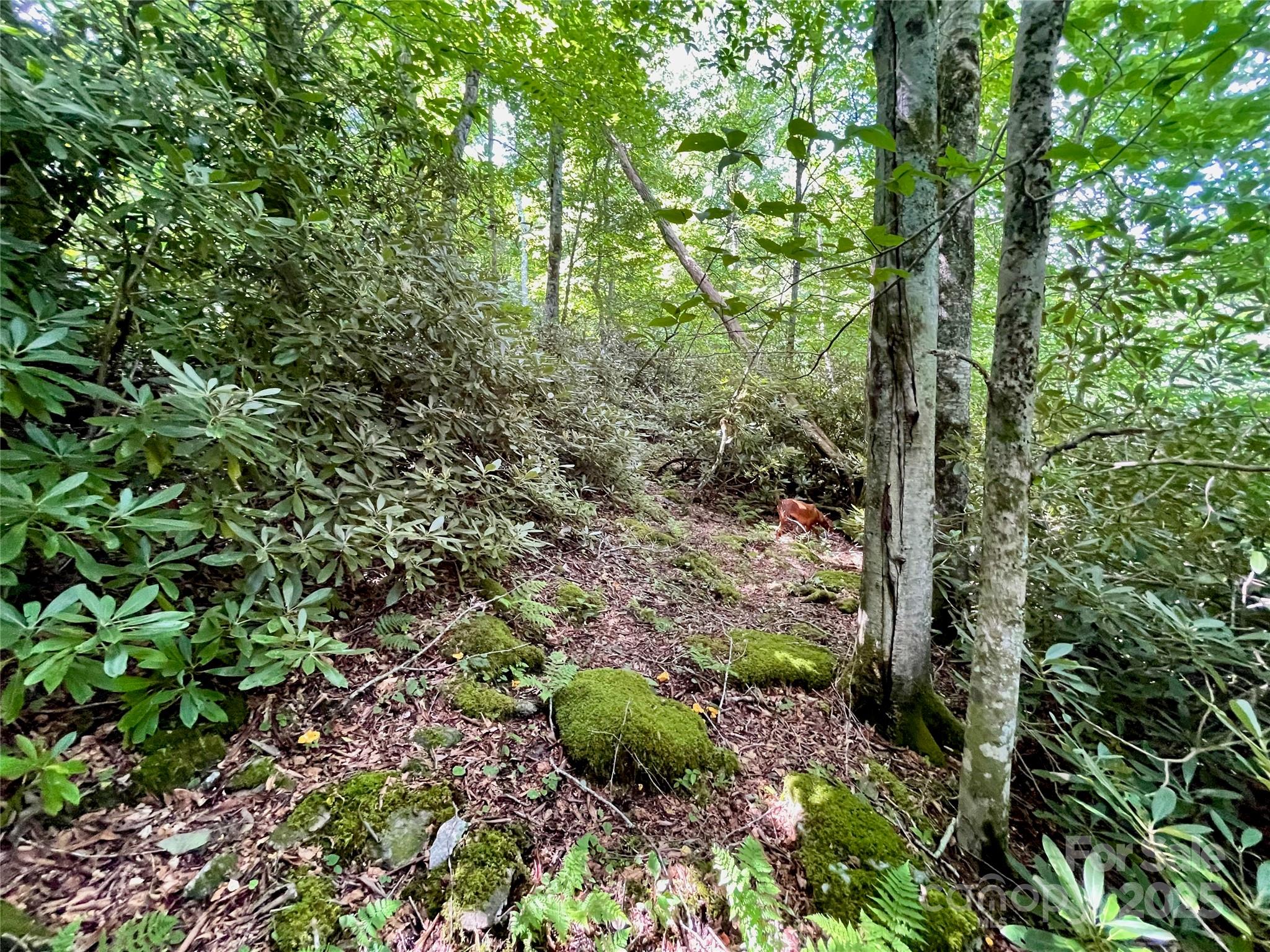 125 Stoneledge Lane Blowing Rock NC 28605
