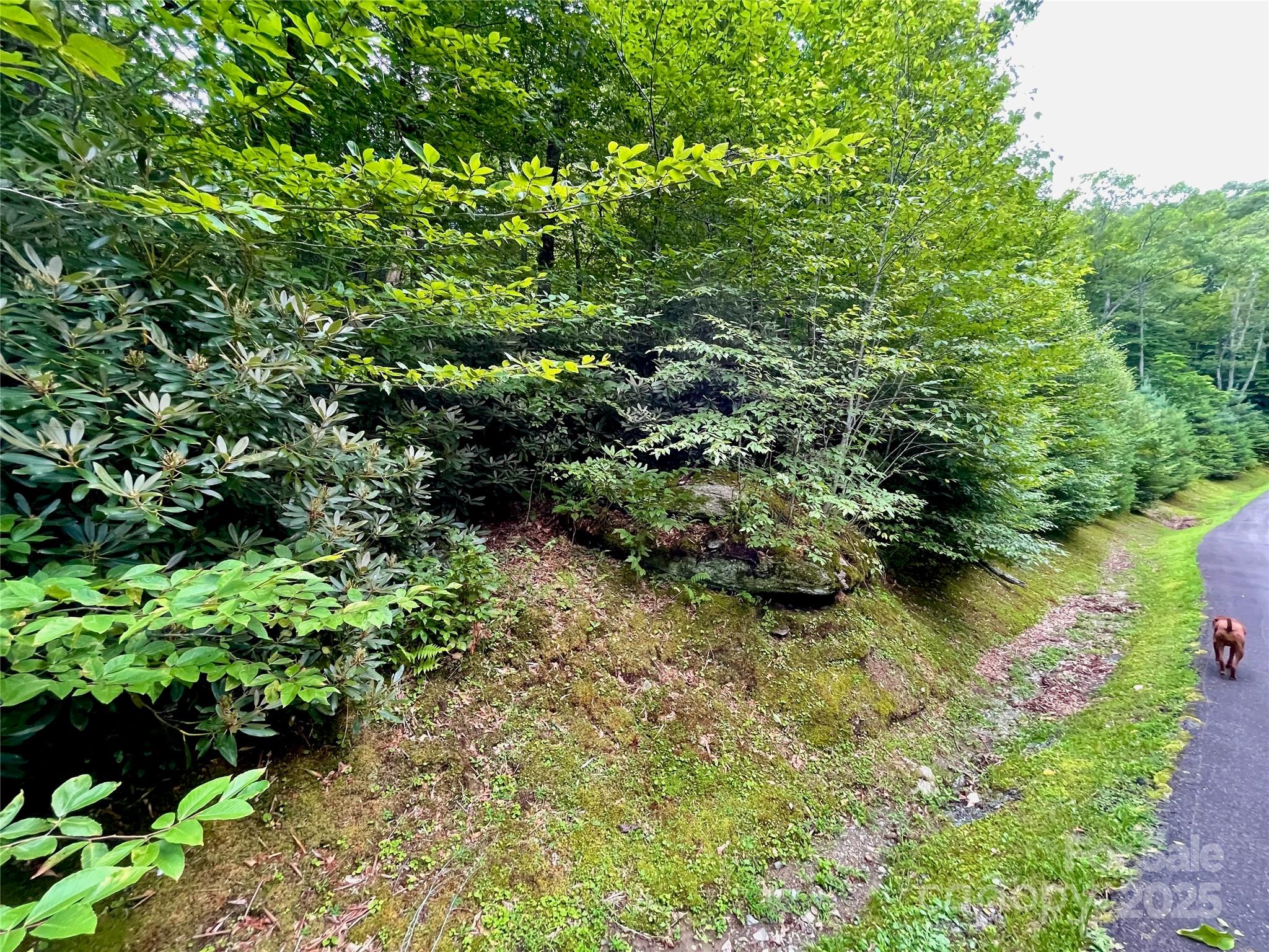 125 Stoneledge Lane Blowing Rock NC 28605