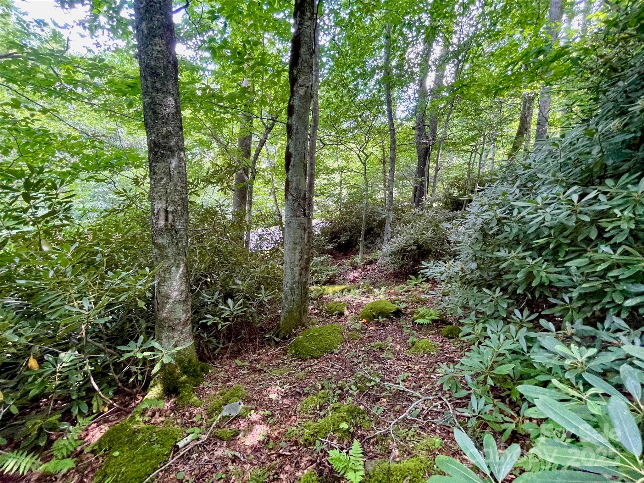 125 Stoneledge Lane Blowing Rock NC 28605