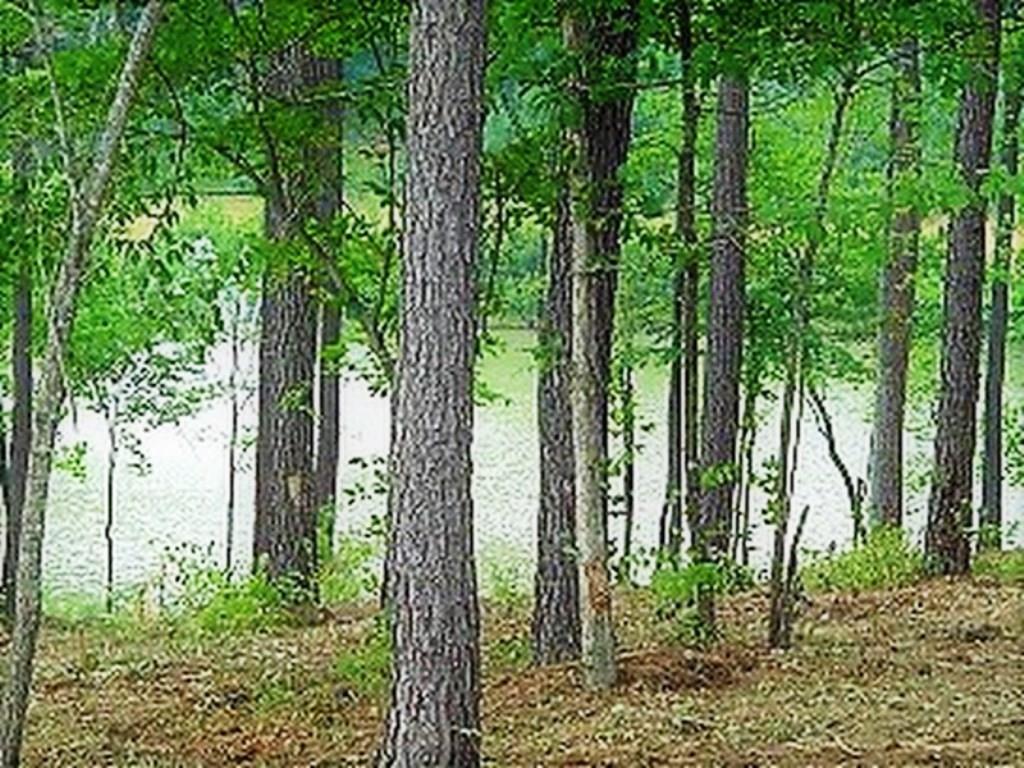 5314 Beacon Ridge Drive Granite Falls NC 28630