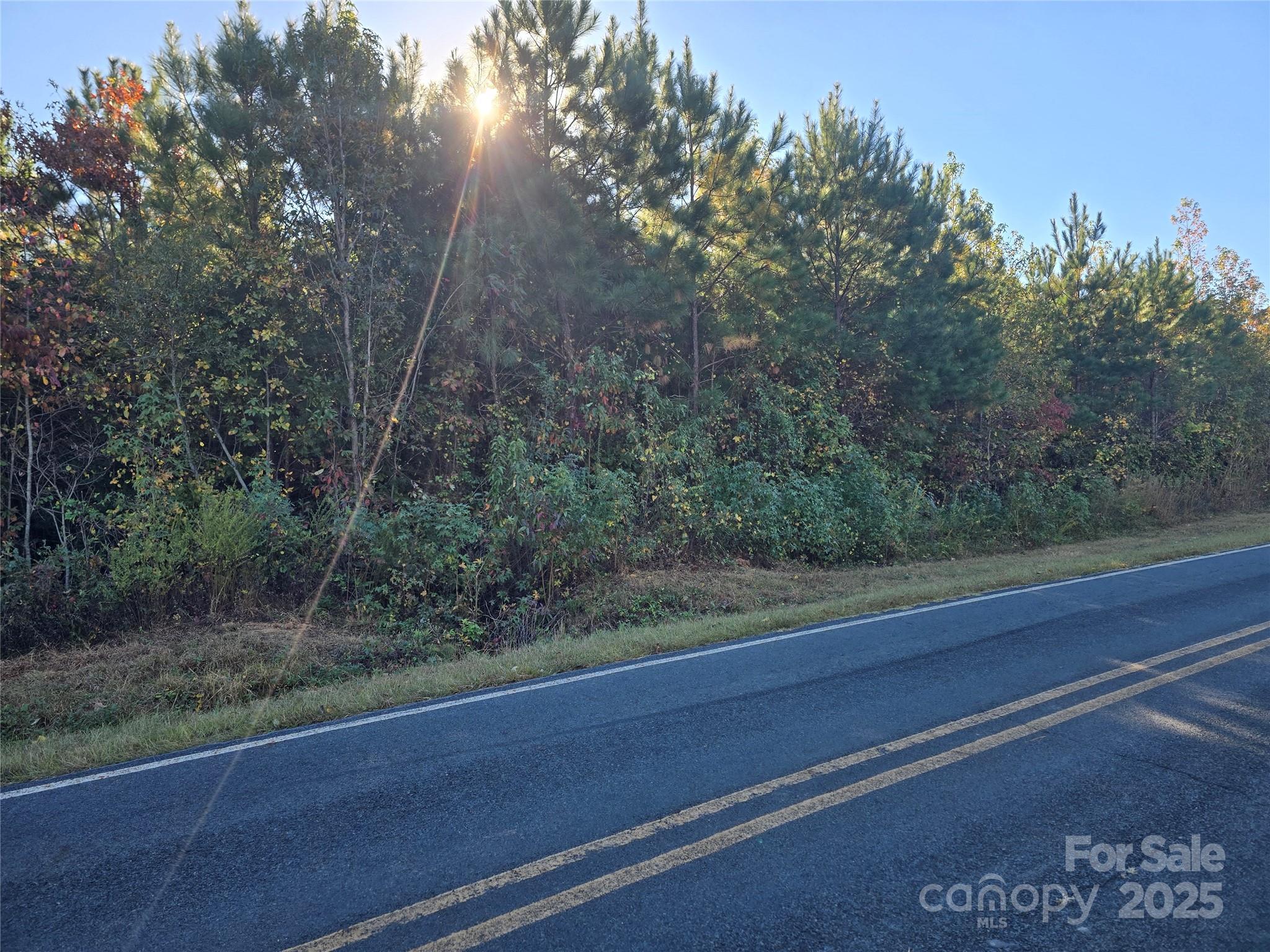 0 Moss Lane New London NC 28127
