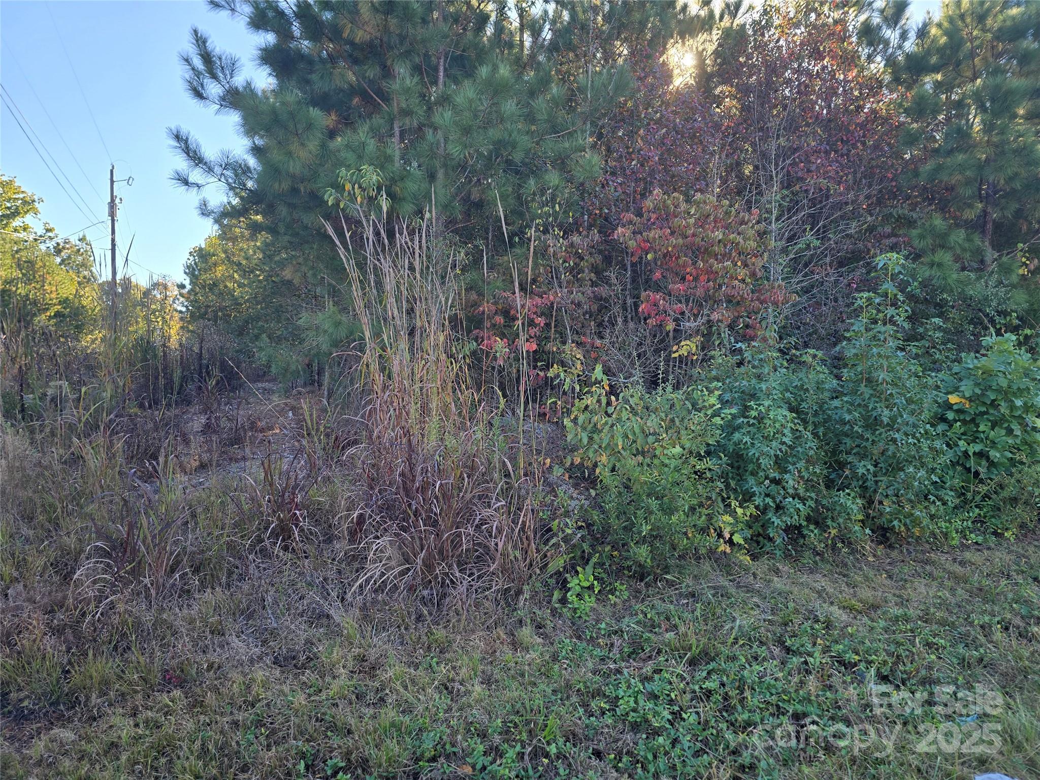 0 Moss Lane New London NC 28127