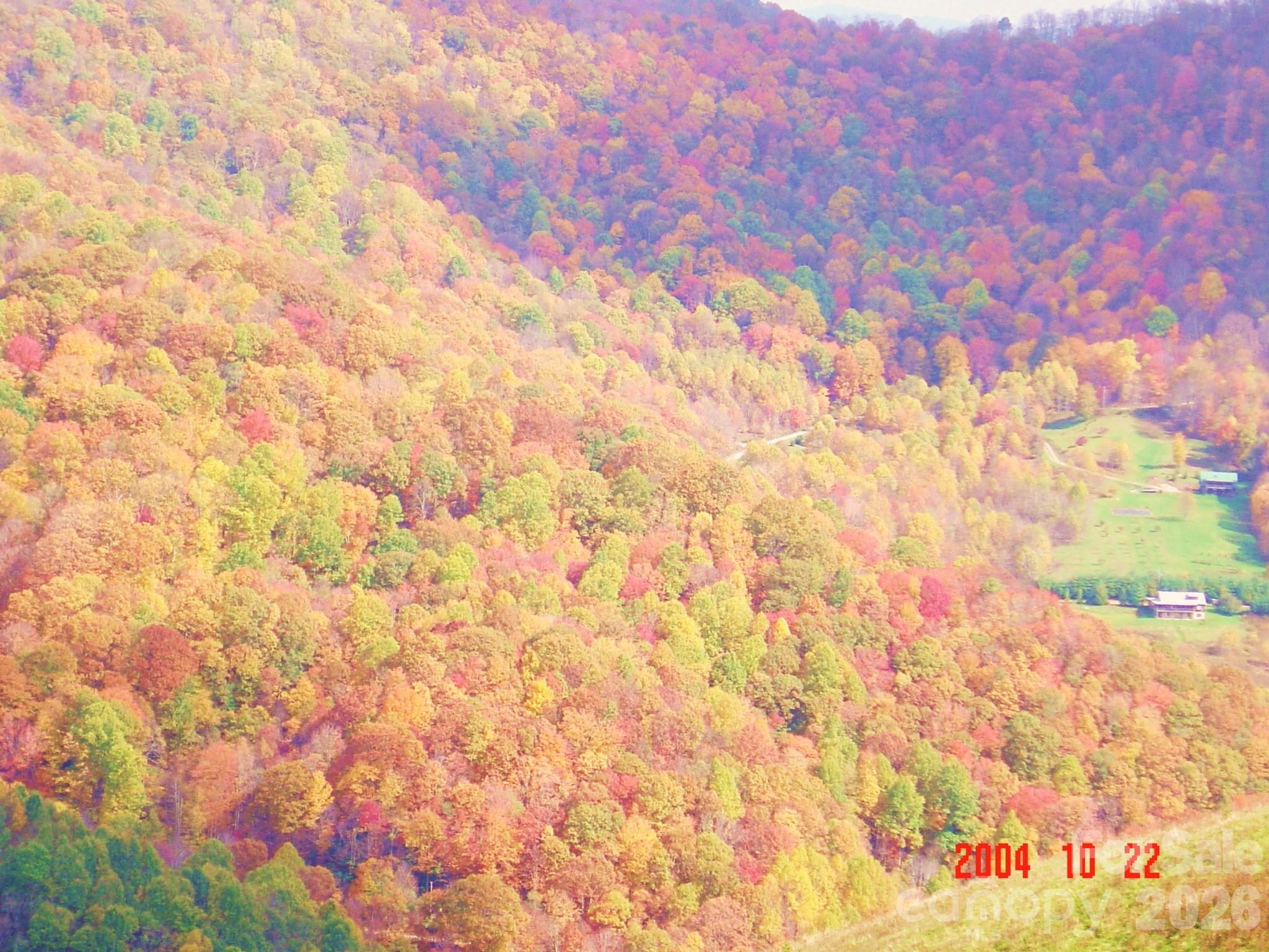 1050 Turkey Trot Road Clyde NC 28721