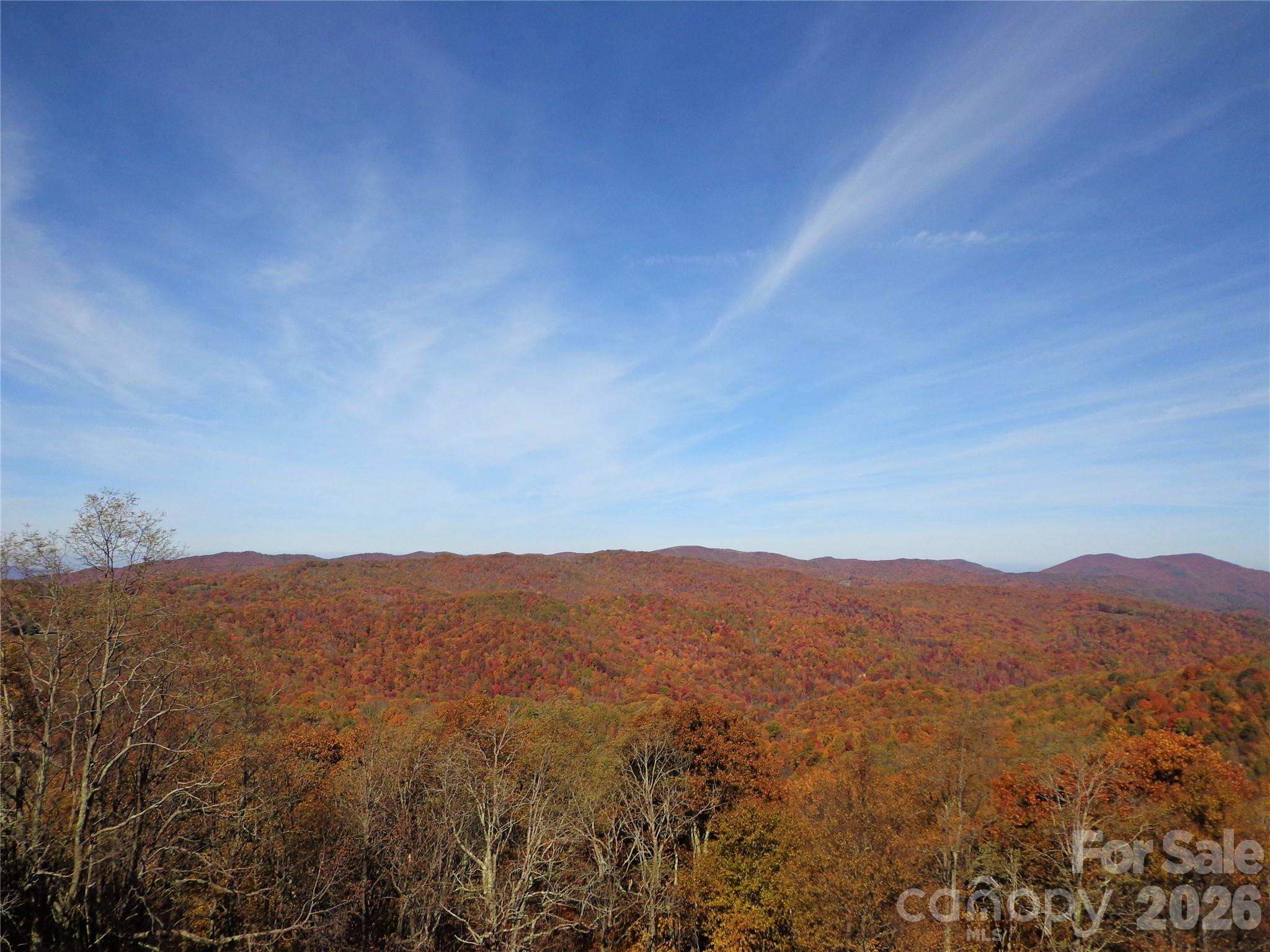 1050 Turkey Trot Road Clyde NC 28721