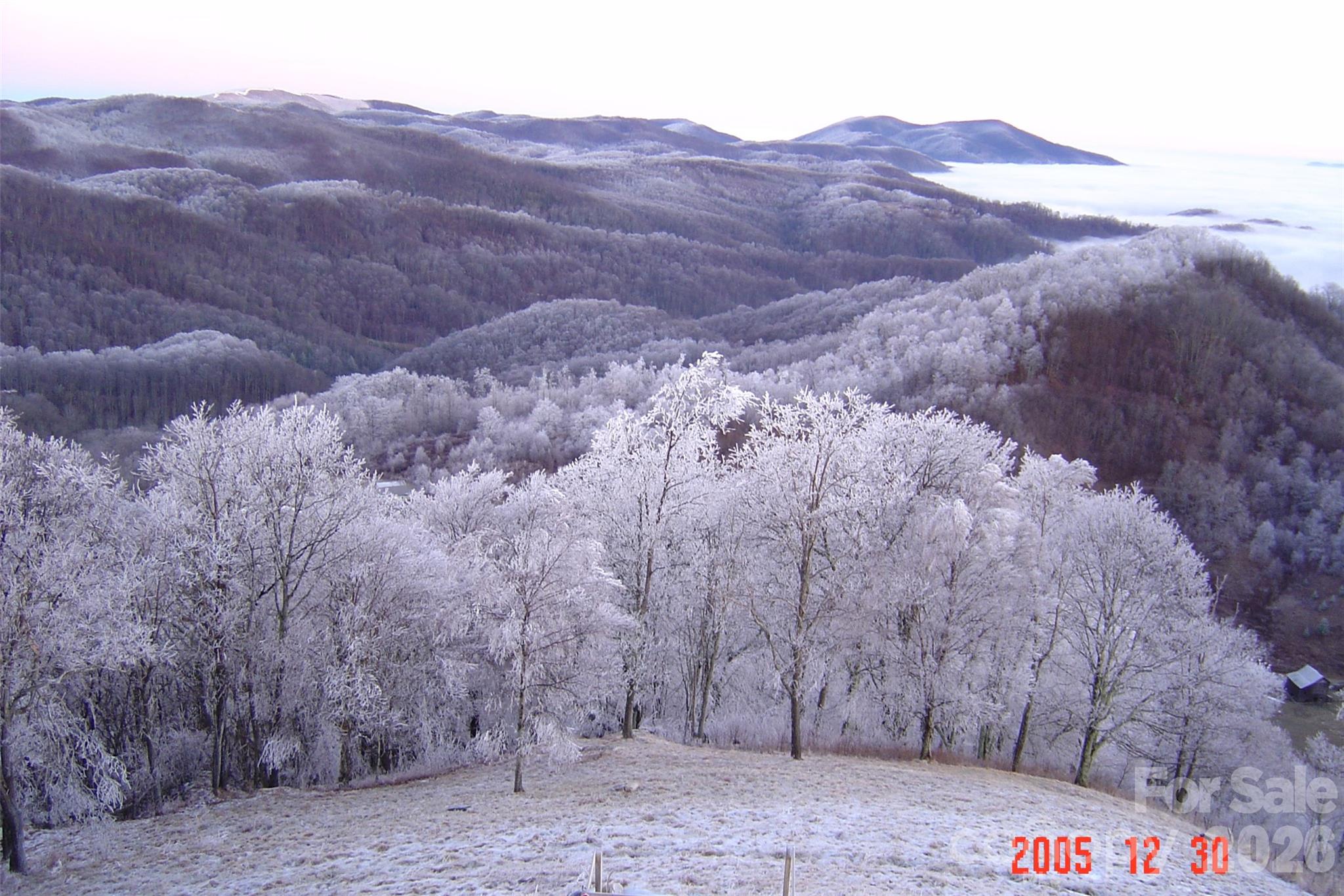 1050 Turkey Trot Road Clyde NC 28721