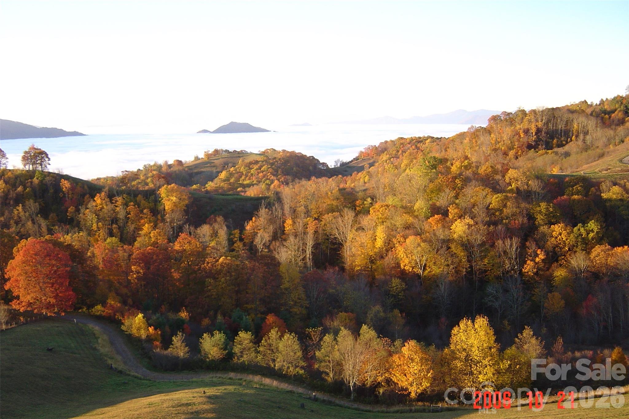 1050 Turkey Trot Road Clyde NC 28721