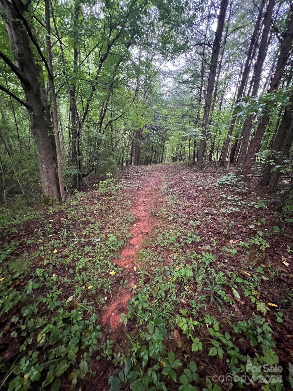 000 Easy Street Lake Lure NC 28746