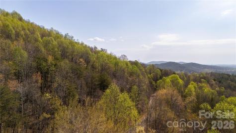 Tbd Owls Ridge Road Bostic NC 28018