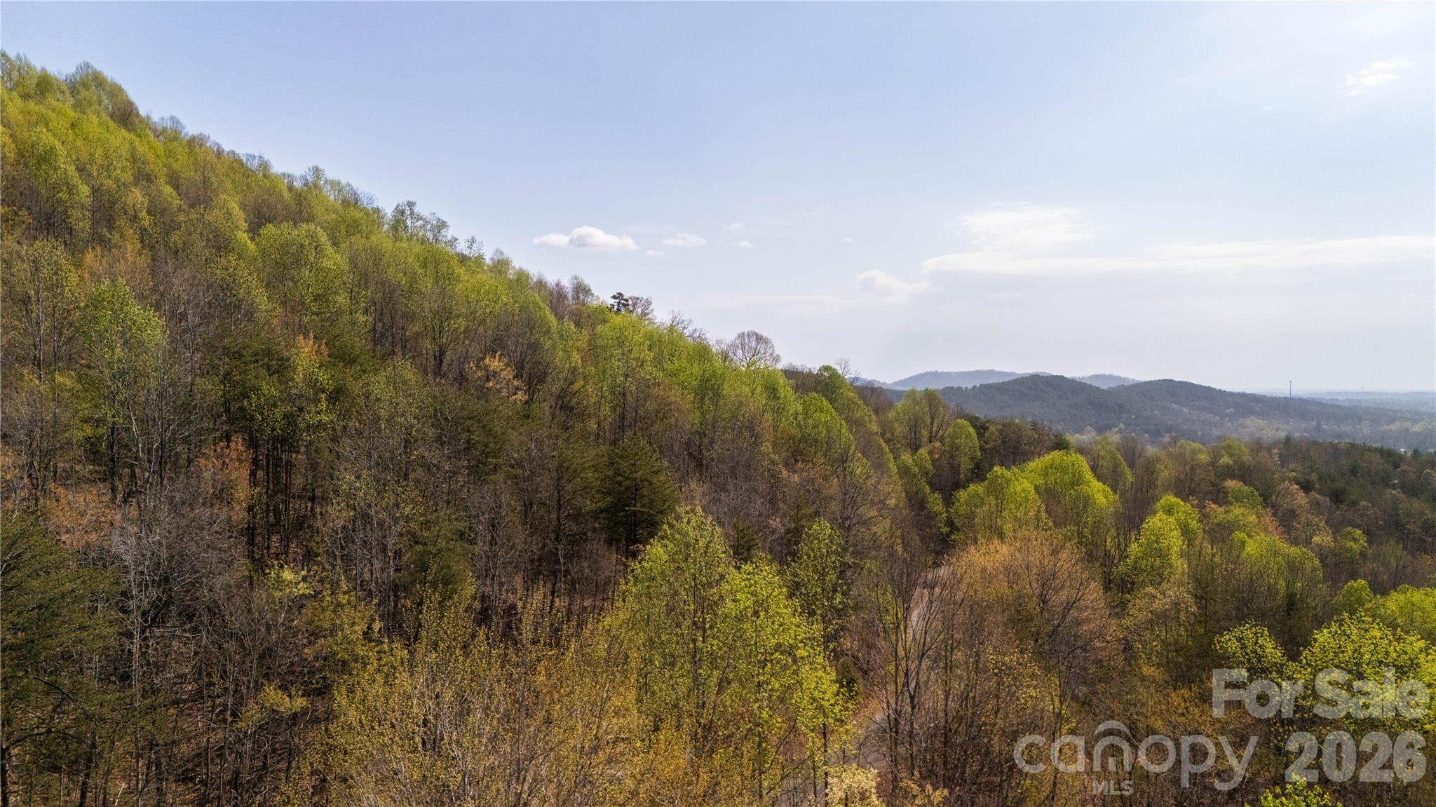 Tbd Owls Ridge Road Bostic NC 28018