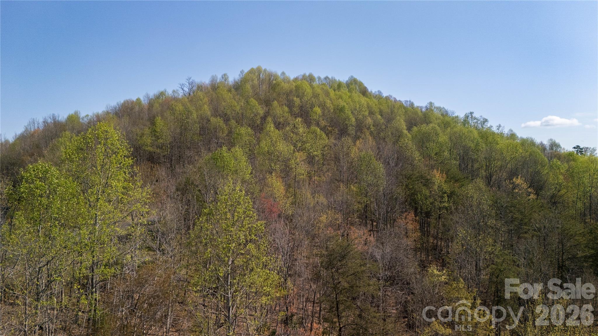 Tbd Owls Ridge Road Bostic NC 28018