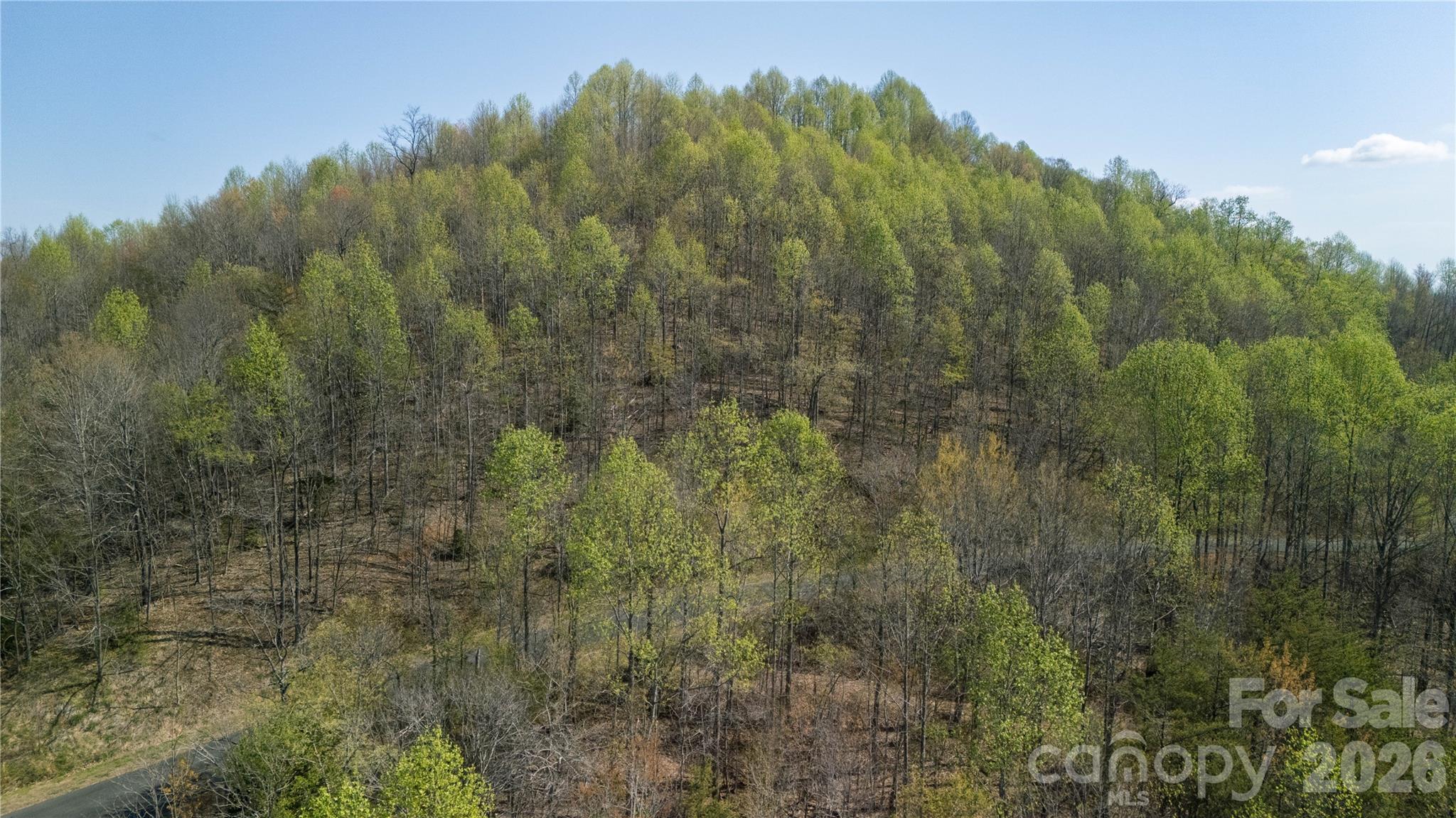 Tbd Owls Ridge Road Bostic NC 28018