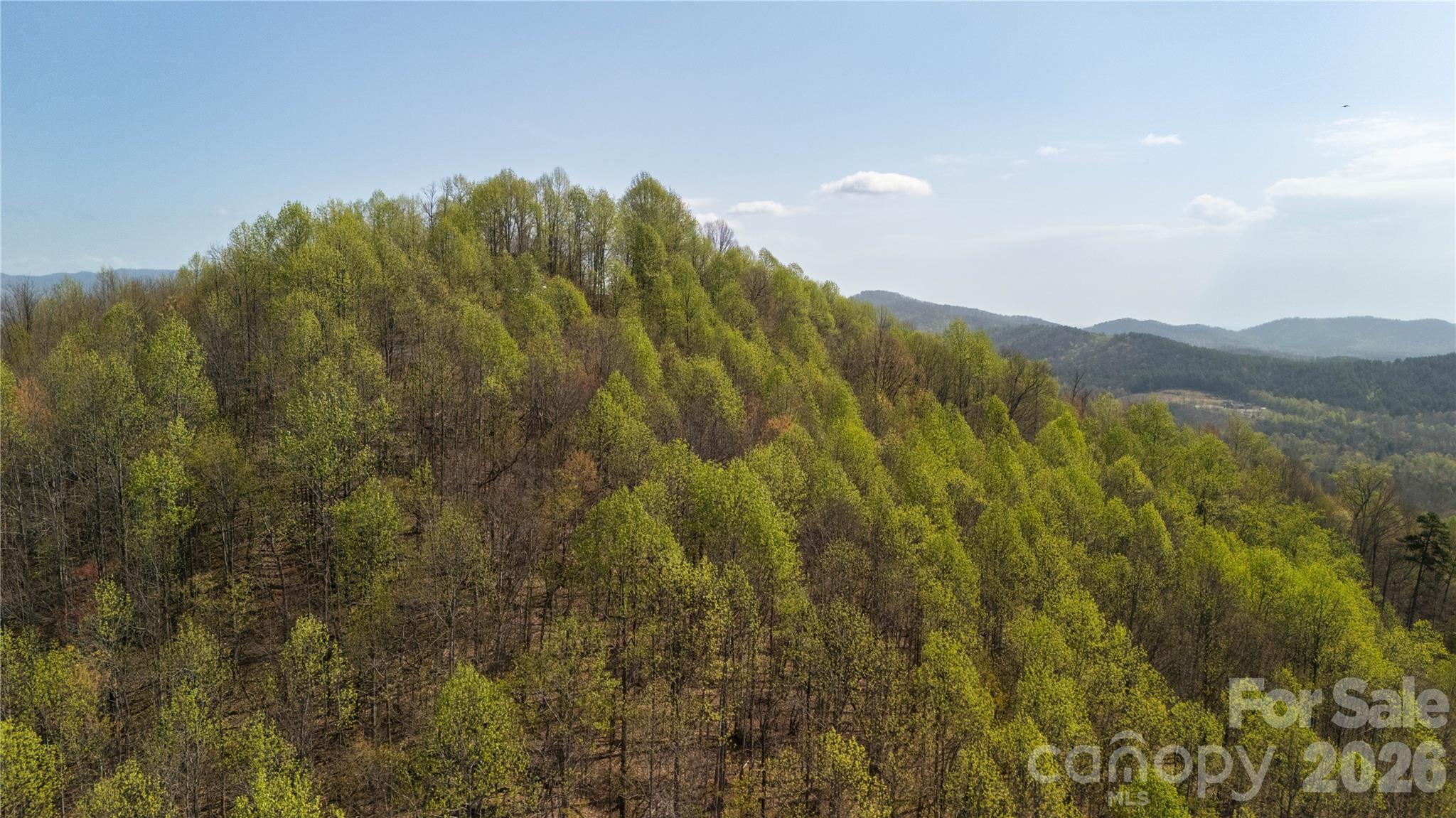 Tbd Owls Ridge Road Bostic NC 28018