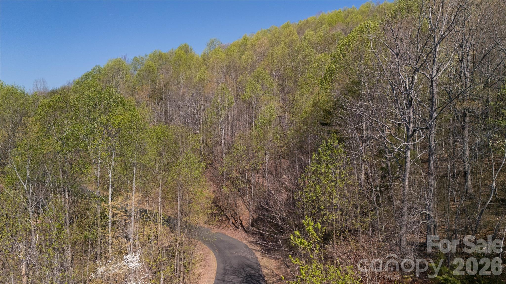 Tbd Owls Ridge Road Bostic NC 28018
