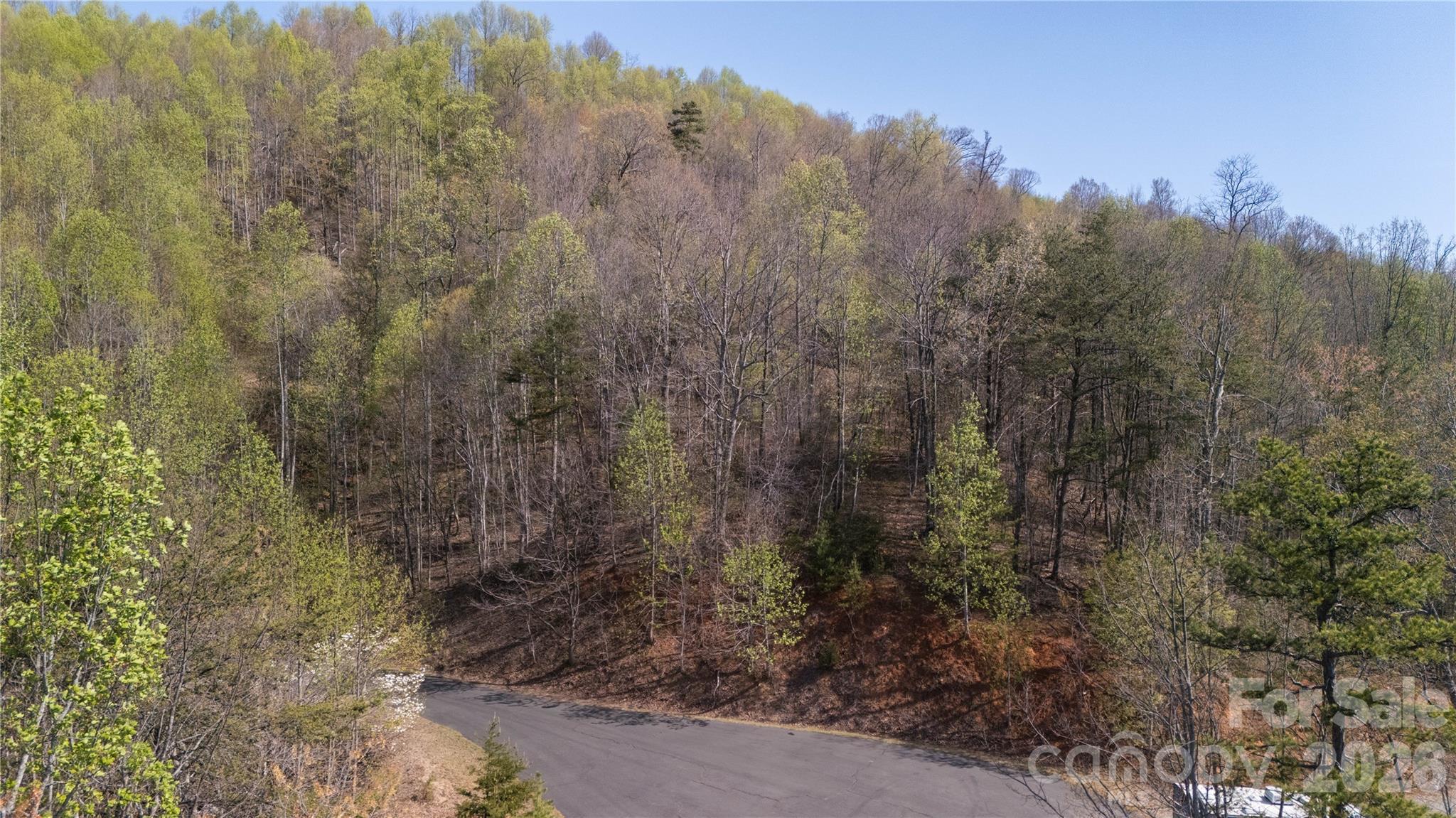Tbd Owls Ridge Road Bostic NC 28018