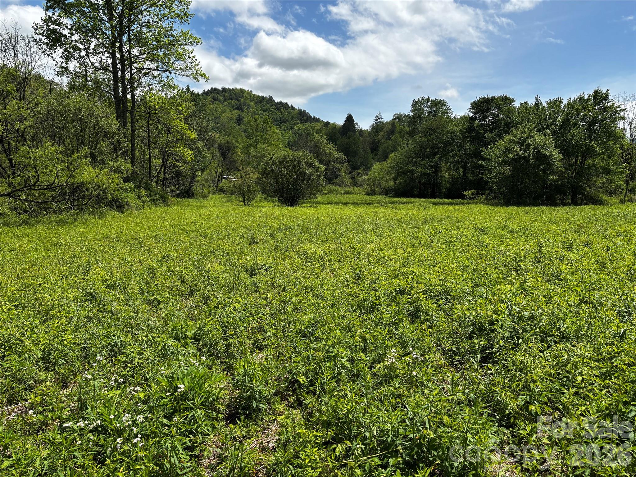 1659 Mountain Creek Road Robbinsville NC 28871
