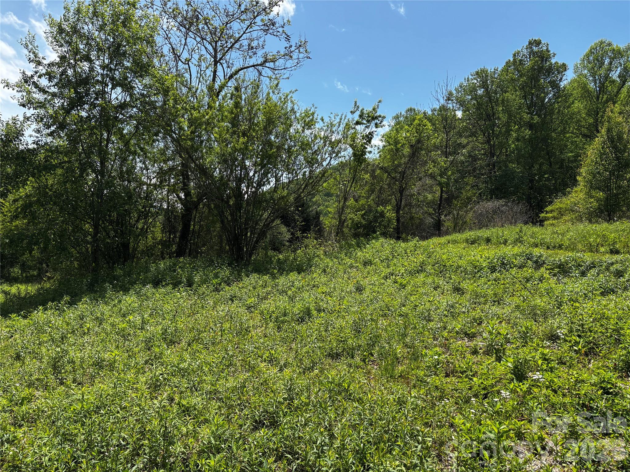 1659 Mountain Creek Road Robbinsville NC 28871