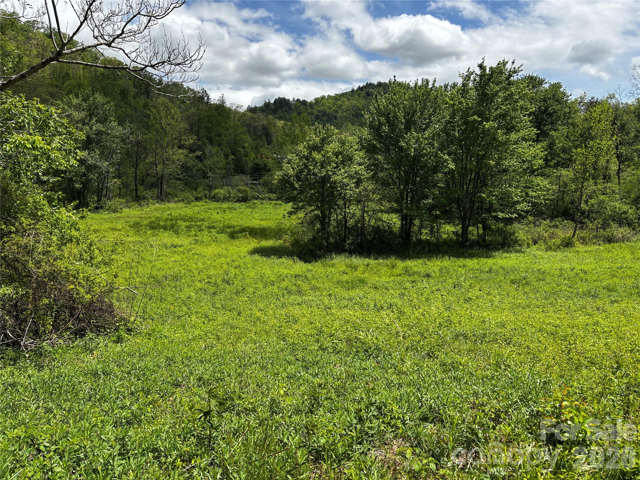 1659 Mountain Creek Road Robbinsville NC 28871