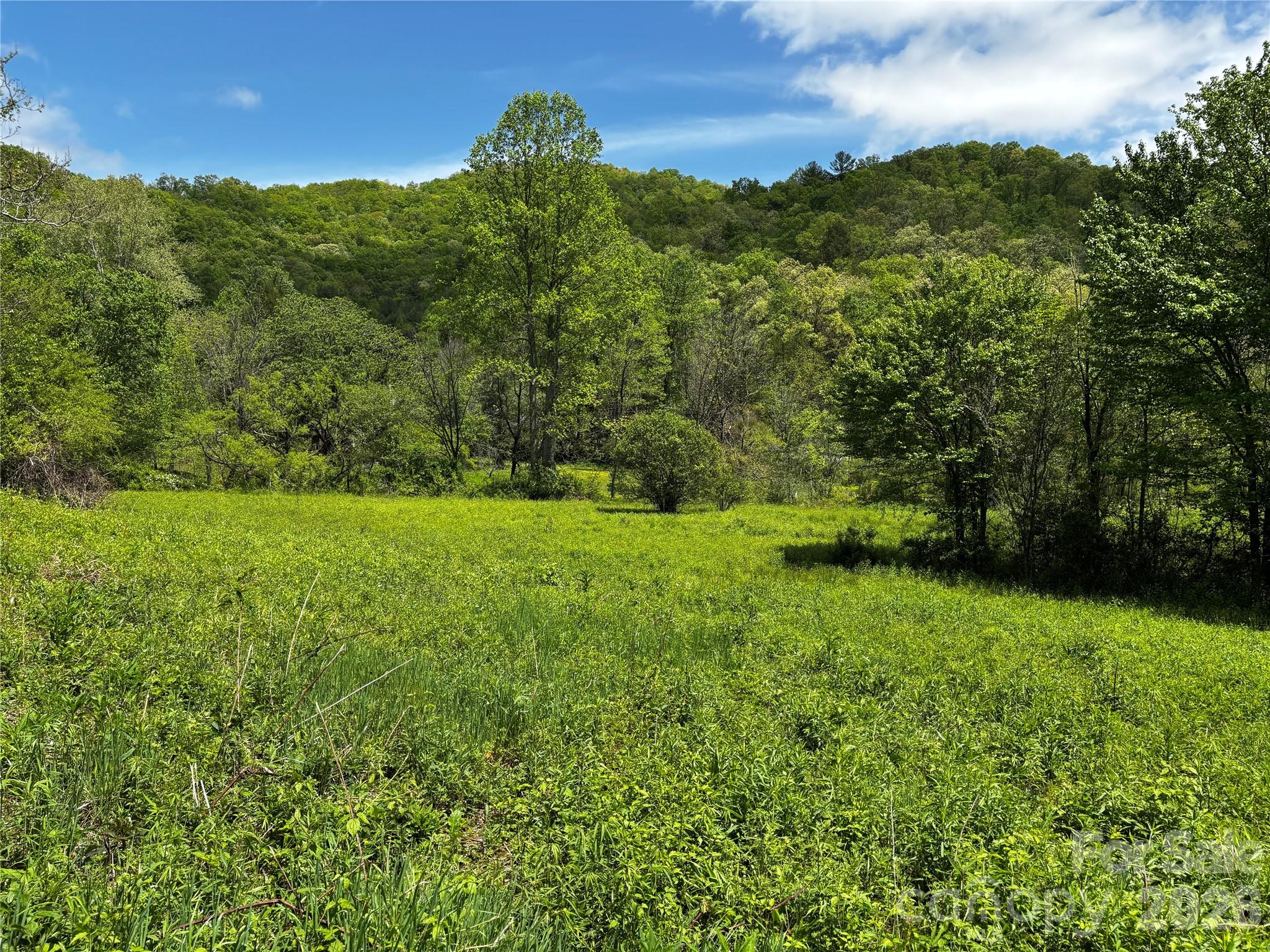 1659 Mountain Creek Road Robbinsville NC 28871
